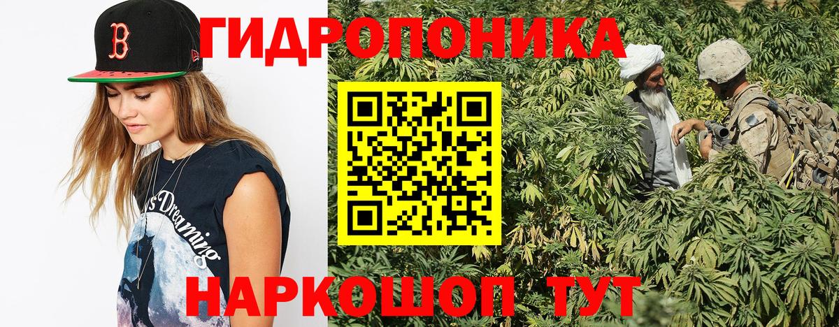 Бошки марихуана ГИДРОПОН  Вход с VPN  Гусь-Хрустальный  Бошки Шишки семена 